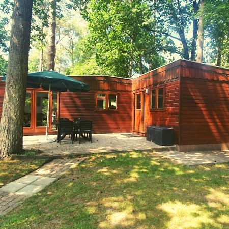 Chalet L2 Dennenrhode Doornspijk Экстерьер фото